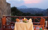 Туры в отель Tree of Life Nature Resort