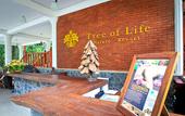 Туры в отель Tree of Life Nature Resort