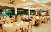 Туры в отель Tree of Life Nature Resort