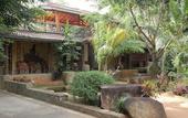 Туры в отель Tree of Life Nature Resort