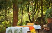 Туры в отель Tree of Life Nature Resort