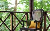 Туры в отель Tree of Life Nature Resort