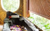 Туры в отель Tree of Life Nature Resort