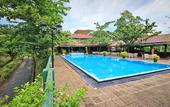 Туры в отель Tree of Life Nature Resort