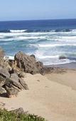 Туры в отель Brenton Beach House