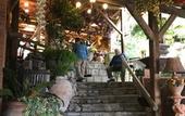 Туры в отель Fattoria Terranova