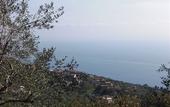 Туры в отель Fattoria Terranova