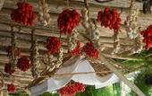 Туры в отель Fattoria Terranova