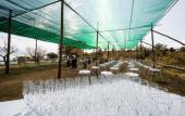 Туры в отель Fattoria Terranova