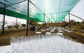 Туры в отель Fattoria Terranova