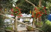 Туры в отель Fattoria Terranova