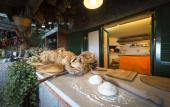 Туры в отель Fattoria Terranova