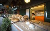 Туры в отель Fattoria Terranova