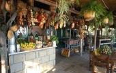 Туры в отель Fattoria Terranova