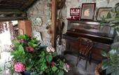 Туры в отель Fattoria Terranova