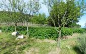 Туры в отель Fattoria Terranova