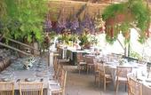 Туры в отель Fattoria Terranova