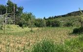 Туры в отель Fattoria Terranova