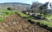 Туры в отель Fattoria Terranova