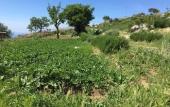Туры в отель Fattoria Terranova
