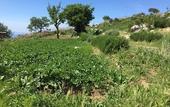 Туры в отель Fattoria Terranova