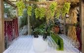 Туры в отель Fattoria Terranova