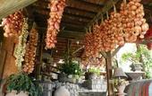 Туры в отель Fattoria Terranova