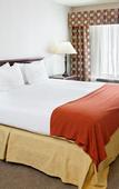 Туры в отель The Evergreen Hotel