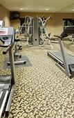 Туры в отель The Evergreen Hotel