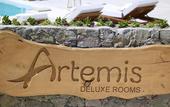 Туры в отель Artemis Seaside Resort