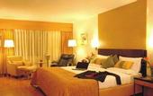Туры в отель Hampshire Plaza Hyderabad