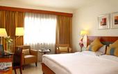 Туры в отель Hampshire Plaza Hyderabad