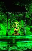 Туры в отель Aalankrita Resort and Convention