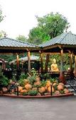 Туры в отель Aalankrita Resort and Convention
