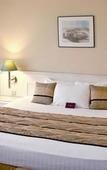 Туры в отель Hotel Mercure Limoges Centre