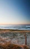 Туры в отель Pullman Magenta Shores Resort