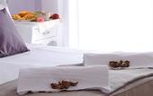 Туры в отель Hotel I Due Cigni