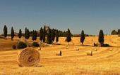 Туры в отель Hotel Panoramic Montepulciano