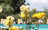 Туры в отель Hotel Panoramic Montepulciano