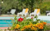 Туры в отель Hotel Panoramic Montepulciano