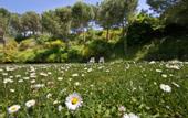Туры в отель Hotel Panoramic Montepulciano