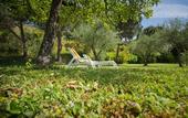 Туры в отель Hotel Panoramic Montepulciano