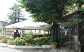 Туры в отель Piccolo Hotel Tanamalia