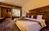 Туры в отель The Orchid Hotel Pune Hinjewadi