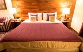 Туры в отель The Orchid Hotel Pune Hinjewadi