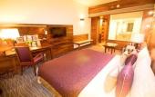 Туры в отель The Orchid Hotel Pune Hinjewadi