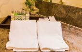 Туры в отель The Orchid Hotel Pune Hinjewadi