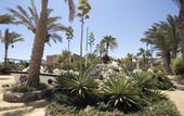 Туры в отель Jewels Sahara Boutique Resort