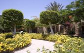 Туры в отель Jewels Sahara Boutique Resort