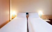 Туры в отель ibis Tarbes Odos